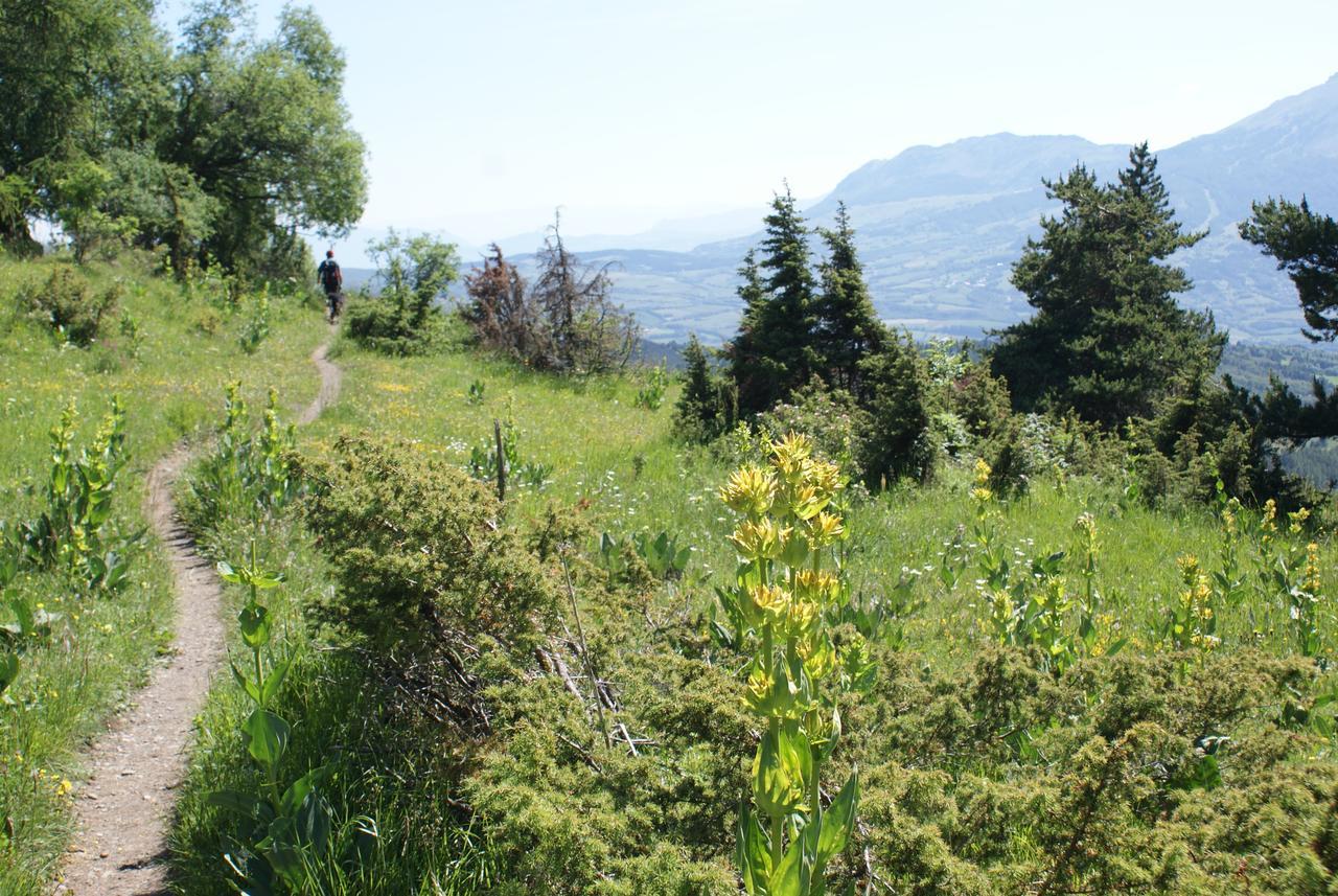 Saint-michel-de-chaillol, 3 Pièces, 6 Personnes - Fr-1-393-22